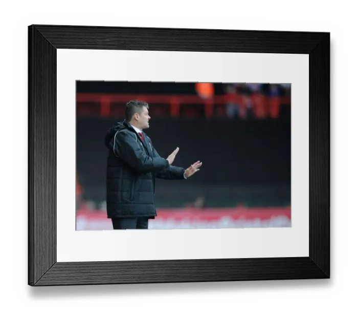 Framed Print : Steve Cotterill Leads Bristol City in Sky Bet League One Match Against Fleetwood Town (01 / 02 / 2015) Framed Print : Steve Cotterill Leads Bristol City in Sky Bet League One Match Against Fleetwood Town (01 / 02 / 2015)