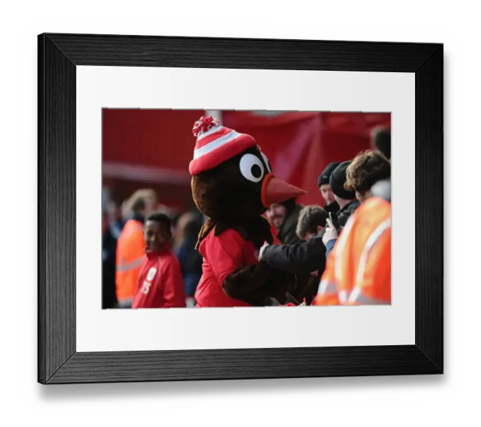 Framed Print : Scrumpy the Hedgehog Meets the Fans: Bristol City vs Fleetwood Town, Ashton Gate, 2015 Framed Print : Scrumpy the Hedgehog Meets the Fans: Bristol City vs Fleetwood Town, Ashton Gate, 2015