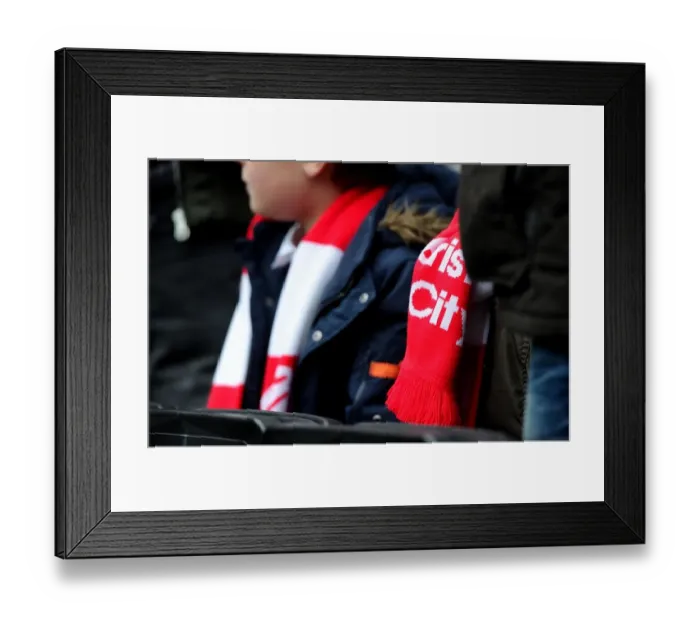 Framed Print : Passionate Bristol City Fans at MK Dons vs. Bristol City, Sky Bet League One (07.02.2015) Framed Print : Passionate Bristol City Fans at MK Dons vs. Bristol City, Sky Bet League One (07.02.2015)