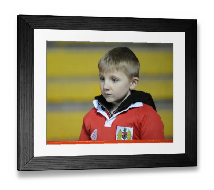 Framed Print : Bristol City Fans in Action during Sky Bet League One Match against Port Vale, Ashton Gate Stadium (February 10, 2015) Framed Print : Bristol City Fans in Action during Sky Bet League One Match against Port Vale, Ashton Gate Stadium (February 10, 2015)