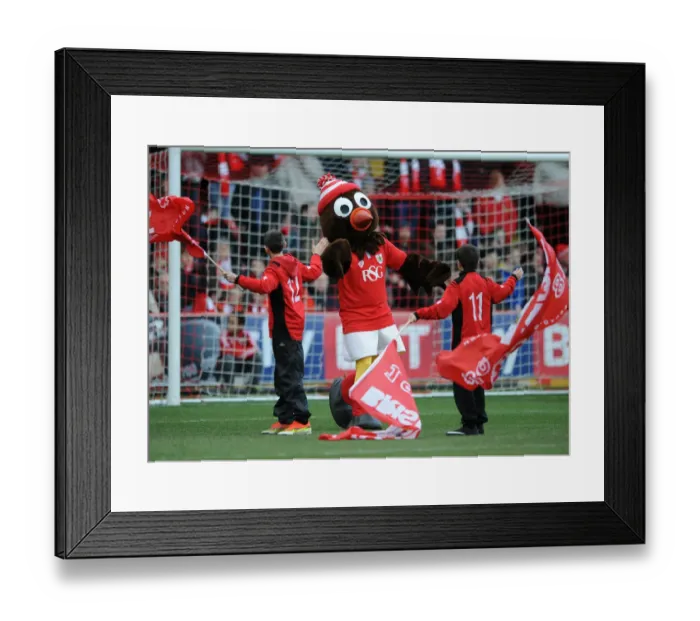 Framed Print : Intense Rivalry: Bristol City vs Sheffield United at Ashton Gate, Sky Bet League One Framed Print : Intense Rivalry: Bristol City vs Sheffield United at Ashton Gate, Sky Bet League One