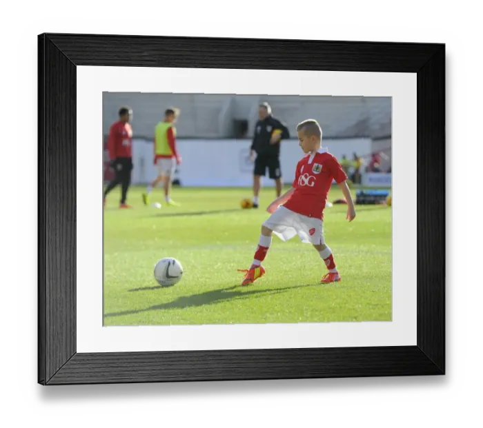 Framed Print : Bristol City vs Sheffield United: Clash at Ashton Gate - Sky Bet League One (February 14, 2015)