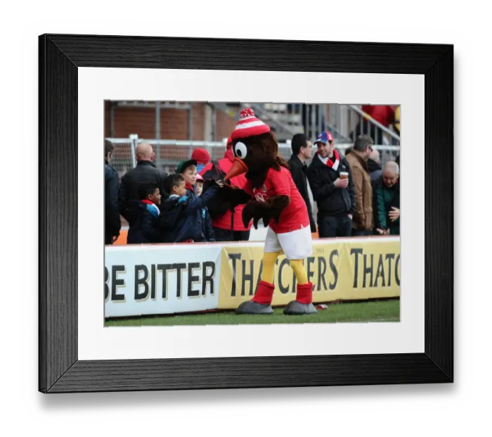 Framed Print : Intense Rivalry: Bristol City vs Sheffield United, February 14, 2015 - Ashton Gate