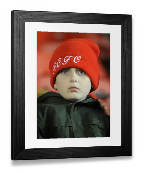 Framed Print : Intense Rivalry: Bristol City vs Peterborough United, Sky Bet League One Clash at Ashton Gate (February 17, 2015)