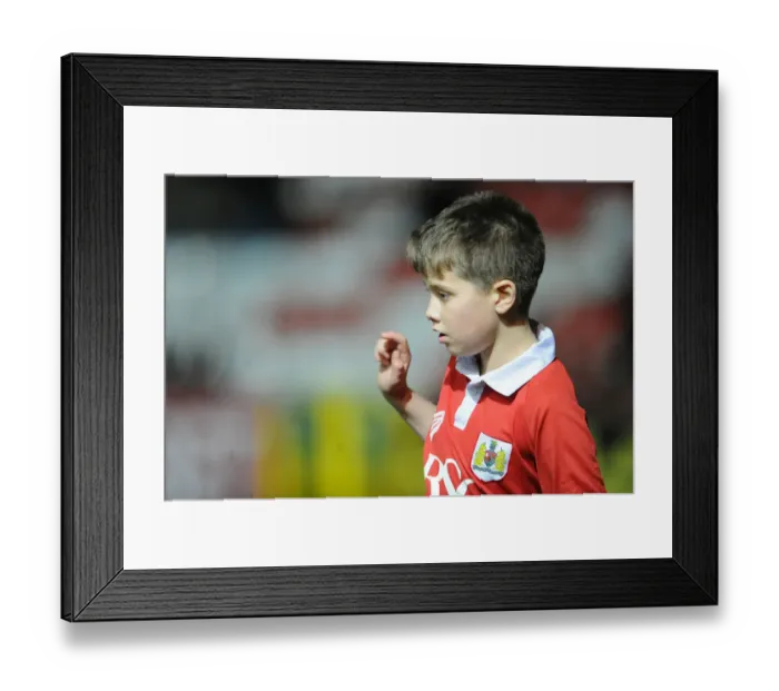 Framed Print : Bristol City vs. Peterborough United Rivalry: A Football Clash at Ashton Gate - February 17, 2015 (Mascot Image) Framed Print : Bristol City vs. Peterborough United Rivalry: A Football Clash at Ashton Gate - February 17, 2015 (Mascot Image)
