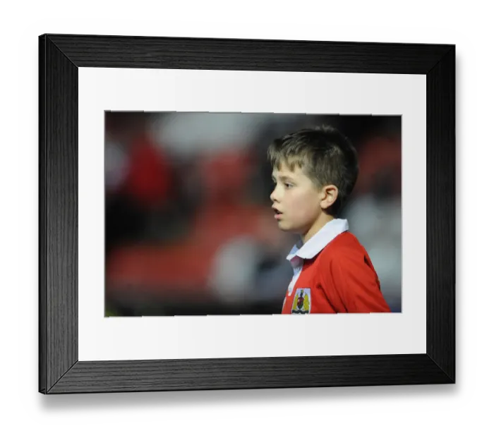 Framed Print : Clash at Ashton Gate: Bristol City vs Peterborough United, Sky Bet League One (February 17, 2015) Framed Print : Clash at Ashton Gate: Bristol City vs Peterborough United, Sky Bet League One (February 17, 2015)