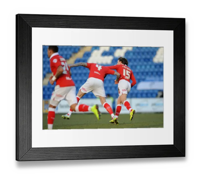 Framed Print : Aden Flint and Luke Freeman Celebrate for Bristol City in Colchester United Match, February 2015 Framed Print : Aden Flint and Luke Freeman Celebrate for Bristol City in Colchester United Match, February 2015