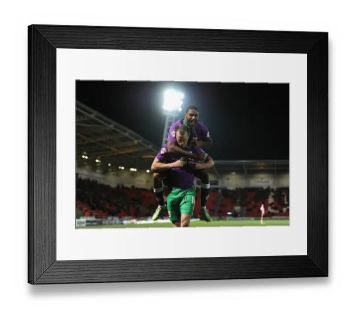 Framed Print : Bristol City: Wilbraham and Little Celebrate Goal Against Doncaster Rovers, February 2015 Framed Print : Bristol City: Wilbraham and Little Celebrate Goal Against Doncaster Rovers, February 2015