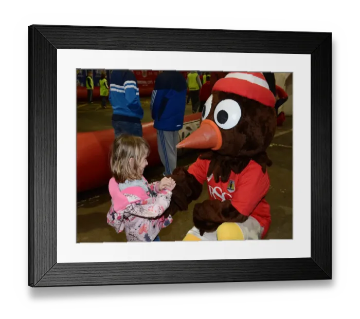 Framed Print : Intense Rivalry: Bristol City vs Rochdale, Sky Bet League One, Ashton Gate, February 2015 Framed Print : Intense Rivalry: Bristol City vs Rochdale, Sky Bet League One, Ashton Gate, February 2015