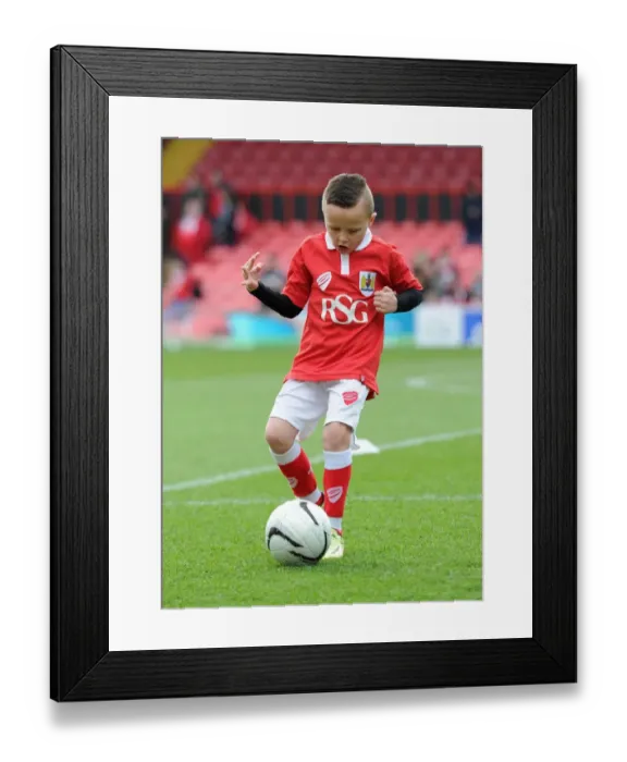Framed Print : Showdown at Ashton Gate: Bristol City vs Rochdale, Sky Bet League One Clash - 28 February 2015 Framed Print : Showdown at Ashton Gate: Bristol City vs Rochdale, Sky Bet League One Clash - 28 February 2015