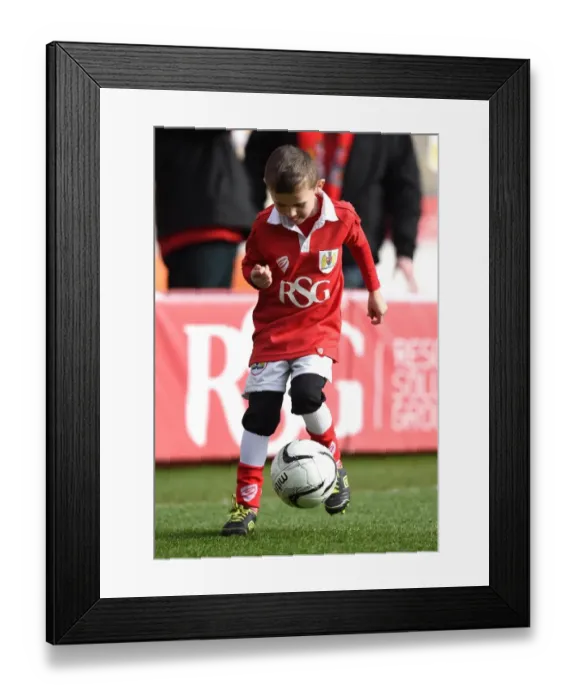 Framed Print : Bristol City vs Rochdale: Sky Bet League One Clash at Ashton Gate Stadium - Mascot and Stadium Atmosphere (28 February 2015) Framed Print : Bristol City vs Rochdale: Sky Bet League One Clash at Ashton Gate Stadium - Mascot and Stadium Atmosphere (28 February 2015)