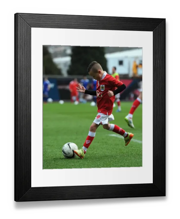 Framed Print : Bristol City vs Rochdale: Electric Atmosphere at Ashton Gate Stadium - Sky Bet League One Clash (28 February 2015)