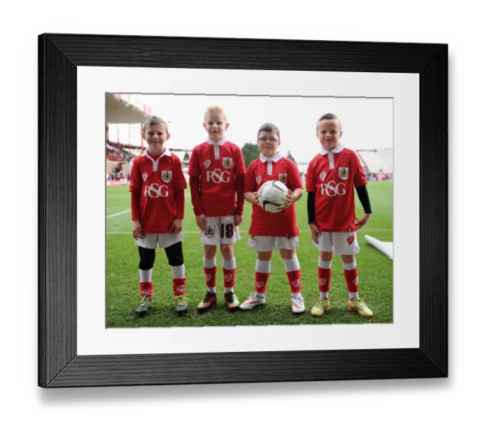Framed Print : Bristol City vs Rochdale: Mascots at Ashton Gate Stadium, February 2015 Framed Print : Bristol City vs Rochdale: Mascots at Ashton Gate Stadium, February 2015