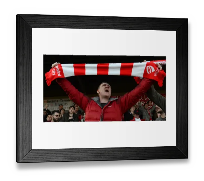 Framed Print : Bristol City Fan's Triumph: 1-2 Win Against Crawley Town at Broadfield Stadium