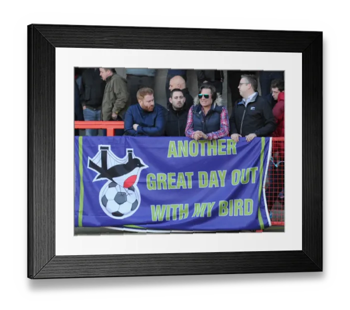 Framed Print : Bristol City Fans in Action at Broadfield Stadium, Sky Bet League One Match, March 2015 Framed Print : Bristol City Fans in Action at Broadfield Stadium, Sky Bet League One Match, March 2015