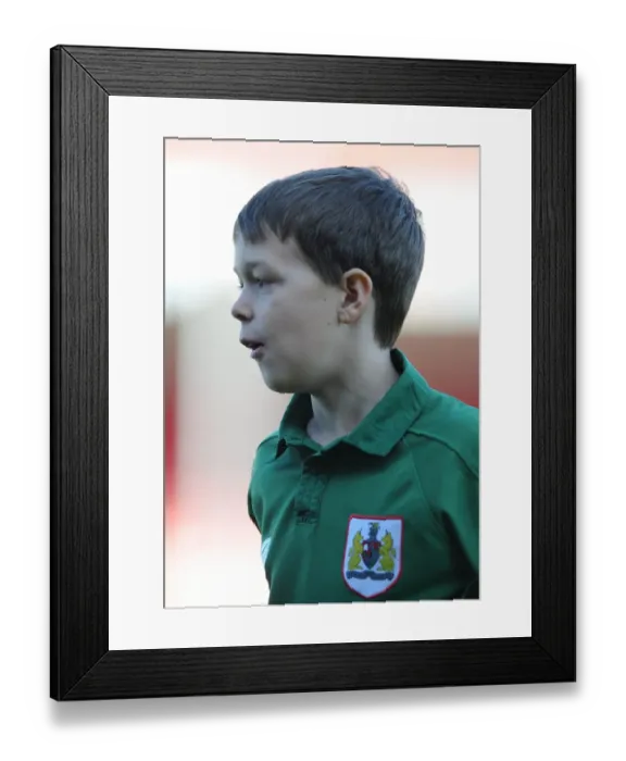 Framed Print : Bristol City Fan's Passionate Support at Crawley Town vs. Bristol City, Sky Bet League One (March 7, 2015) Framed Print : Bristol City Fan's Passionate Support at Crawley Town vs. Bristol City, Sky Bet League One (March 7, 2015)
