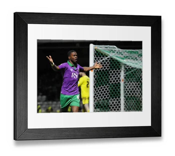 Framed Print : Kieran Agard's Thrilling Goal: Bristol City Celebrates at Huish Park, Sky Bet League One, 10 March 2015 Framed Print : Kieran Agard's Thrilling Goal: Bristol City Celebrates at Huish Park, Sky Bet League One, 10 March 2015