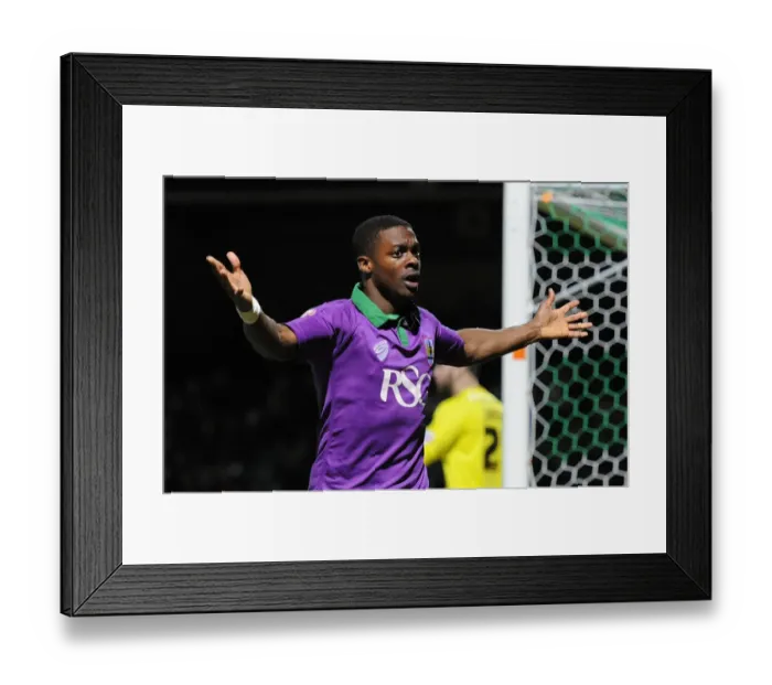Framed Print : Agard's Thrilling Goal: Celebrating at Huish Park for Bristol City against Yeovil Town (Sky Bet League One, March 10, 2015) Framed Print : Agard's Thrilling Goal: Celebrating at Huish Park for Bristol City against Yeovil Town (Sky Bet League One, March 10, 2015)