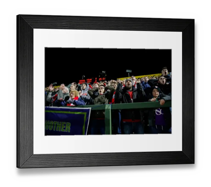 Framed Print : Bristol City Fans Reacting at Yeovil Town vs. Bristol City Football Match, 10th March 2015 Framed Print : Bristol City Fans Reacting at Yeovil Town vs. Bristol City Football Match, 10th March 2015