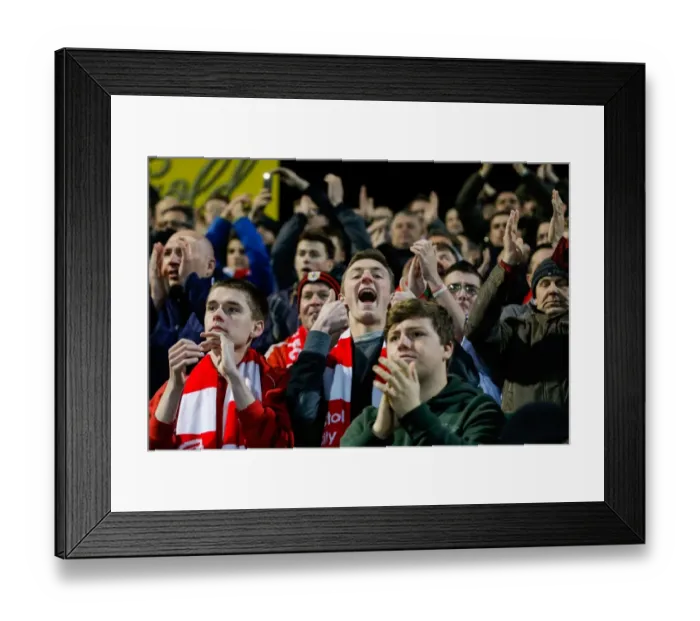 Framed Print : Bristol City Celebrates 0-3 Win Over Yeovil Town, March 10, 2015 Framed Print : Bristol City Celebrates 0-3 Win Over Yeovil Town, March 10, 2015
