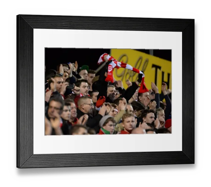 Framed Print : Bristol City Celebrate Promotion: Yeovil Town v Bristol City, 10-03-2015 Framed Print : Bristol City Celebrate Promotion: Yeovil Town v Bristol City, 10-03-2015