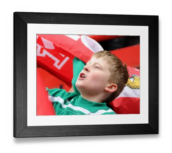 Framed Print : Bristol City Flag Bearer at Ashton Gate Stadium during Sky Bet League One Match against Gillingham (March 14, 2015)