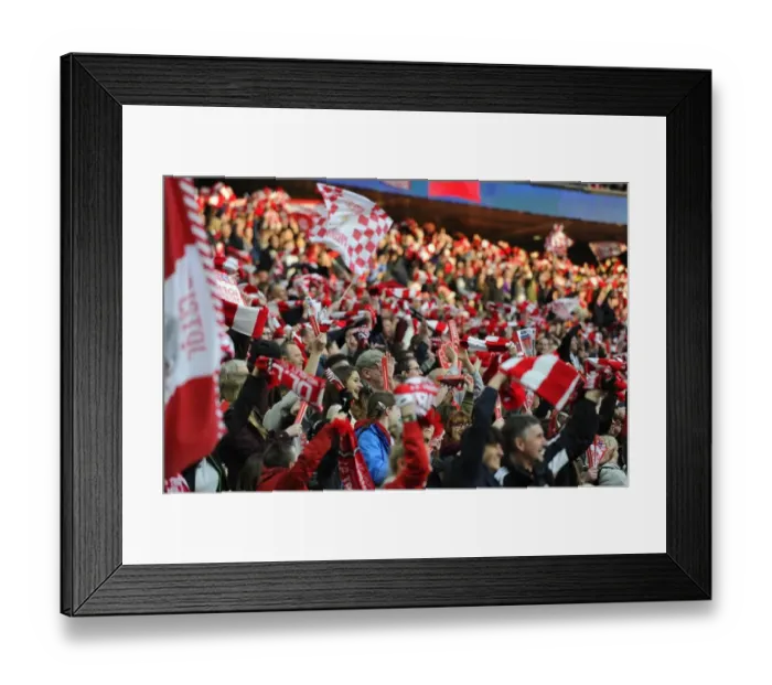 Framed Print : Triumphant Moment: Bristol City FC Wins Johnstone's Paint Trophy at Wembley Stadium - Fans Celebrate Framed Print : Triumphant Moment: Bristol City FC Wins Johnstone's Paint Trophy at Wembley Stadium - Fans Celebrate