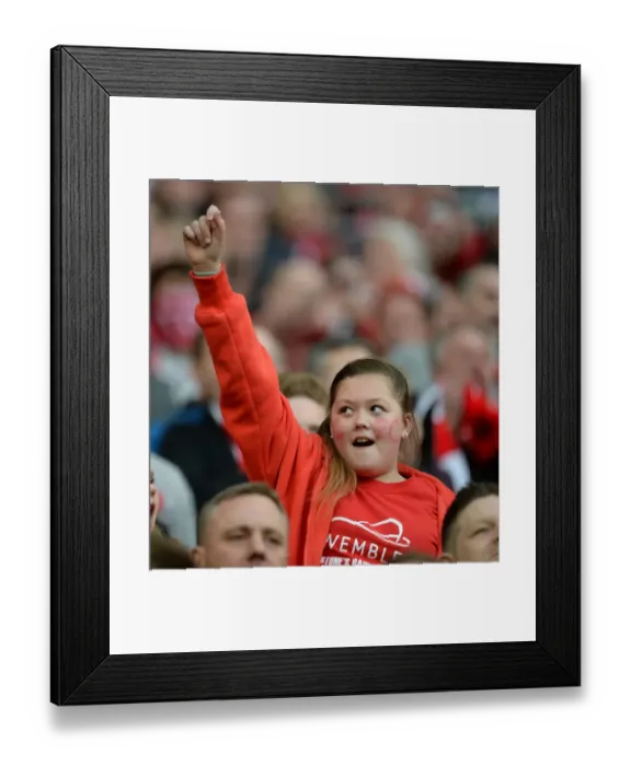Framed Print : Bristol City FC: Triumphant Fans Celebrate Johnstone's Paint Trophy Victory at Wembley Framed Print : Bristol City FC: Triumphant Fans Celebrate Johnstone's Paint Trophy Victory at Wembley
