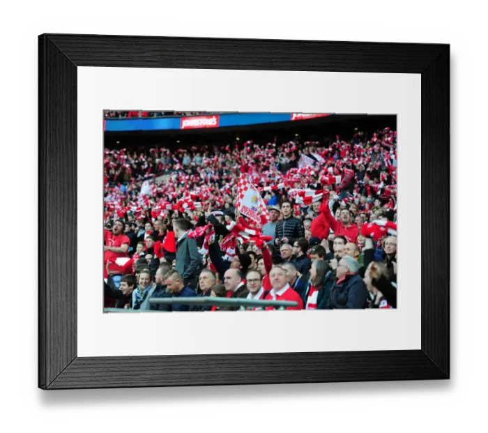 Framed Print : Bristol City FC Fans Celebrate Johnstone's Paint Trophy Victory at Wembley Stadium Framed Print : Bristol City FC Fans Celebrate Johnstone's Paint Trophy Victory at Wembley Stadium
