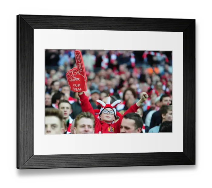 Framed Print : Bristol City Fan's Triumph: Johnstone's Paint Trophy Final at Wembley Stadium (Bristol City v Walsall) Framed Print : Bristol City Fan's Triumph: Johnstone's Paint Trophy Final at Wembley Stadium (Bristol City v Walsall)
