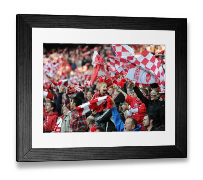 Framed Print : Triumphant Moment: Bristol City FC Wins Johnstone's Paint Trophy at Wembley Stadium (2015) Framed Print : Triumphant Moment: Bristol City FC Wins Johnstone's Paint Trophy at Wembley Stadium (2015)