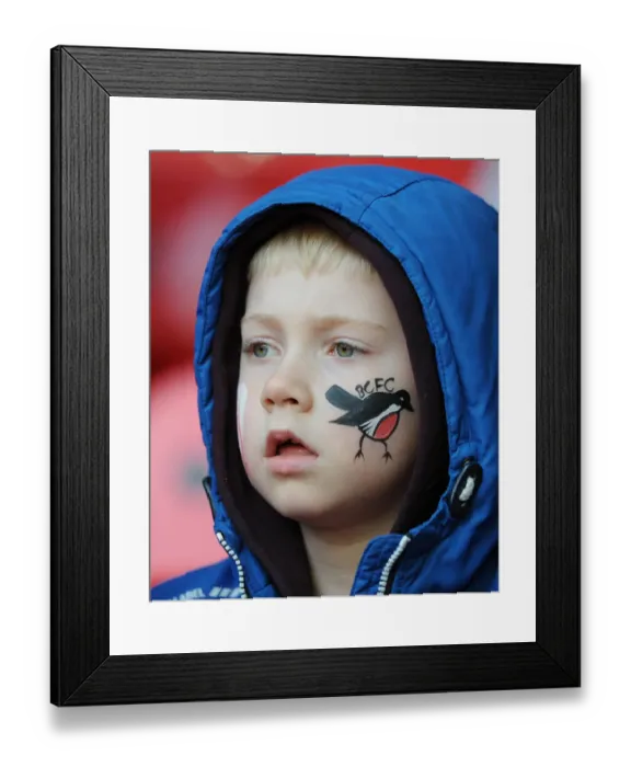 Framed Print : Triumphant Moment: Bristol City FC Wins Johnstone's Paint Trophy at Wembley Stadium (2015) Framed Print : Triumphant Moment: Bristol City FC Wins Johnstone's Paint Trophy at Wembley Stadium (2015)