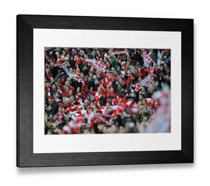 Framed Print : Bristol City Fans Celebrate Johnstone's Paint Trophy Victory at Wembley Stadium