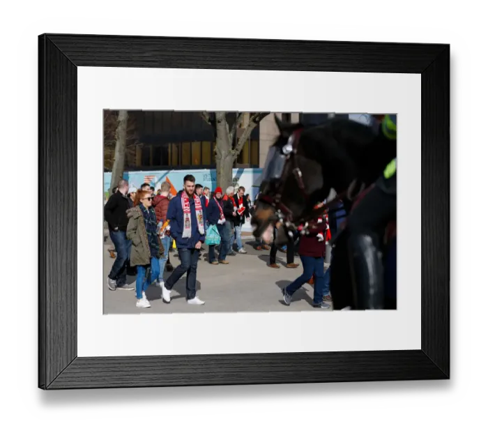 Framed Print : Thrilling Johnstones Paint Trophy Final: Fans in Action - Bristol City vs Walsall at Wembley Stadium