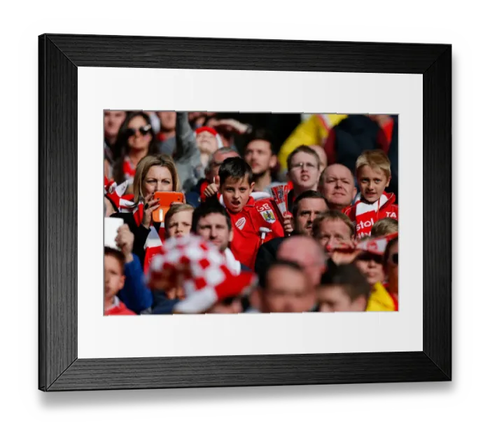 Framed Print : Triumphant Moment: Bristol City FC Celebrates Johnstones Paint Trophy Victory at Wembley Framed Print : Triumphant Moment: Bristol City FC Celebrates Johnstones Paint Trophy Victory at Wembley