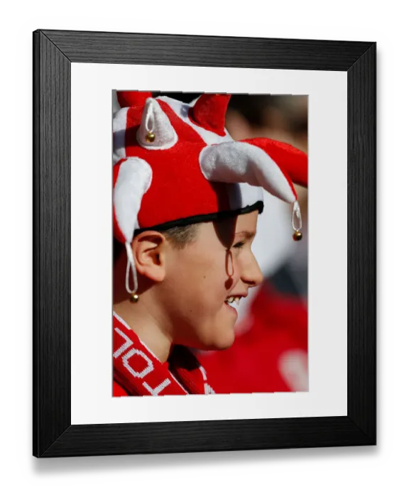 Framed Print : Triumphant Bristol City Fans Celebrate Johnstones Paint Trophy Victory at Wembley Stadium (2015) Framed Print : Triumphant Bristol City Fans Celebrate Johnstones Paint Trophy Victory at Wembley Stadium (2015)