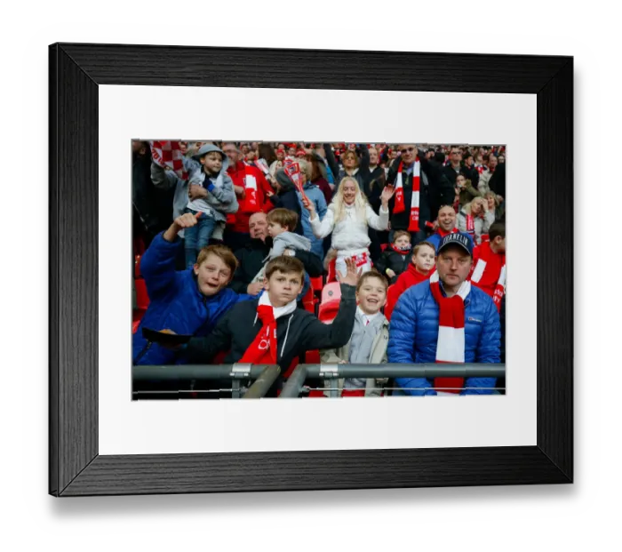 Framed Print : Bristol City FC: Unforgettable Moment of Triumph - Fans Euphoria at Wembley Stadium after Scoring the Second Goal, 2015 (Johnstones Paint Trophy Final)