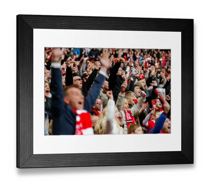 Framed Print : Bristol City FC's Euphoric Fans Celebrate Second Goal at Wembley Stadium, 2015 (Johnstones Paint Trophy Final) Framed Print : Bristol City FC's Euphoric Fans Celebrate Second Goal at Wembley Stadium, 2015 (Johnstones Paint Trophy Final)