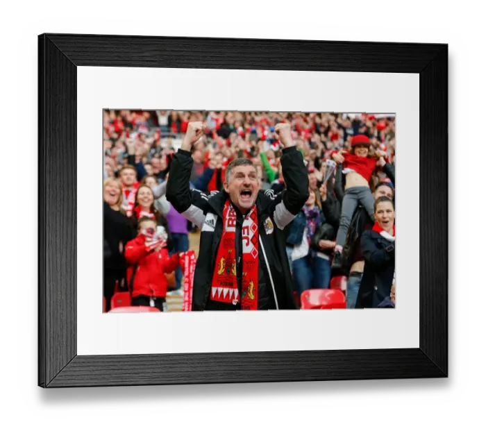 Framed Print : Bristol City FC: Celebrating the Second Goal at Wembley Stadium, 2015 (Johnstones Paint Trophy Final) Framed Print : Bristol City FC: Celebrating the Second Goal at Wembley Stadium, 2015 (Johnstones Paint Trophy Final)