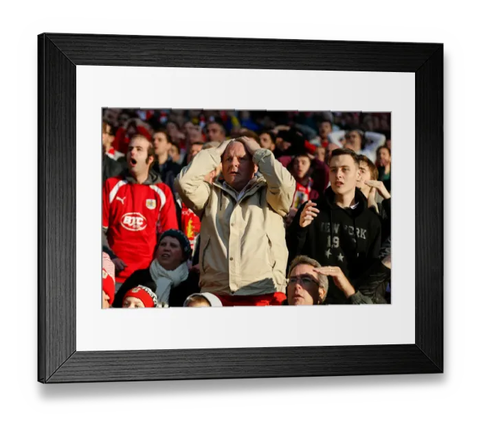 Framed Print : Triumphant Bristol City Fans Celebrate Johnstones Paint Trophy Victory at Wembley Stadium (2015)