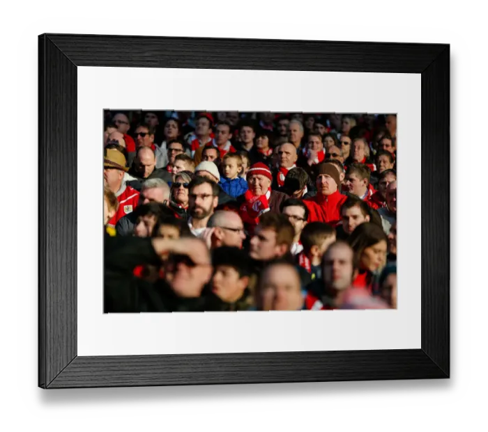 Framed Print : Triumphant Moment: Bristol City FC Fans Celebrate Johnstones Paint Trophy Victory at Wembley Stadium (2015)