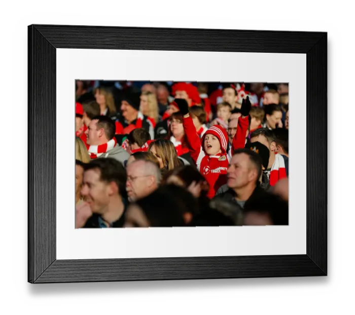 Framed Print : Bristol City FC: Celebrating a 2-0 Lead over Walsall at Wembley Stadium, Johnstones Paint Trophy Final Framed Print : Bristol City FC: Celebrating a 2-0 Lead over Walsall at Wembley Stadium, Johnstones Paint Trophy Final