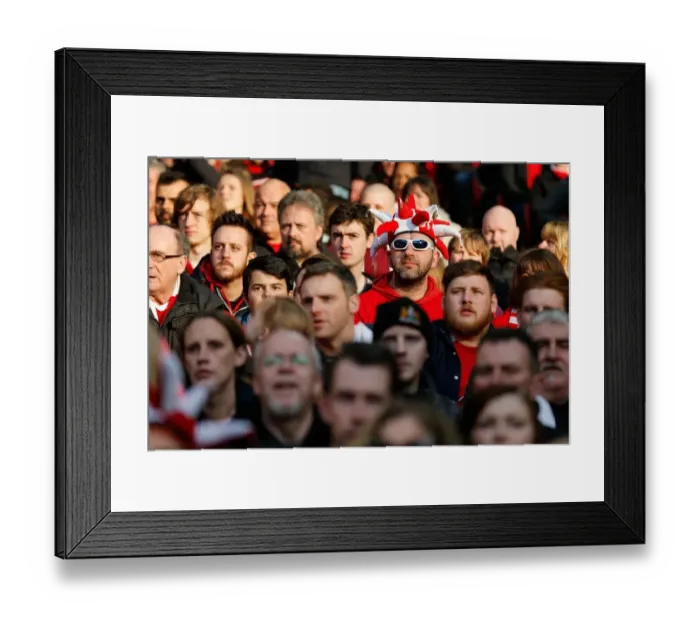 Framed Print : Bristol City vs Walsall: Johnstones Paint Trophy Final at Wembley Stadium, 2015 Framed Print : Bristol City vs Walsall: Johnstones Paint Trophy Final at Wembley Stadium, 2015