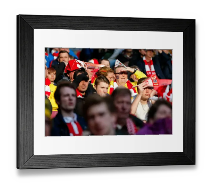 Framed Print : Triumphant Bristol City Fans Celebrate Johnstones Paint Trophy Victory at Wembley Stadium (2015) Framed Print : Triumphant Bristol City Fans Celebrate Johnstones Paint Trophy Victory at Wembley Stadium (2015)