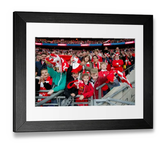 Framed Print : Bristol City Celebrate 2-0 Johnstones Paint Trophy Victory over Walsall at Wembley Stadium Framed Print : Bristol City Celebrate 2-0 Johnstones Paint Trophy Victory over Walsall at Wembley Stadium