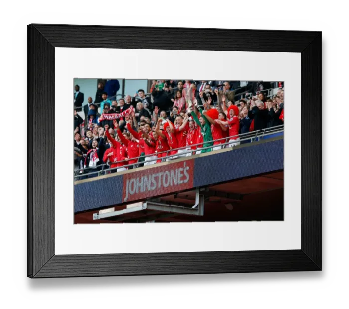 Framed Print : Bristol City FC Lift the Johnstones Paint Trophy: Wade Elliott and Team Celebrate 2-0 Win over Walsall at Wembley Stadium