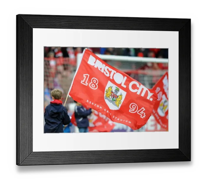 Framed Print : Bristol City vs Barnsley: Flag Bearer at Ashton Gate, March 2015 (Sky Bet League One)