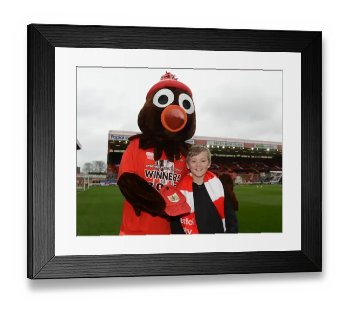 Framed Print : Bristol City v Barnsley 280315 Framed Print : Bristol City v Barnsley 280315