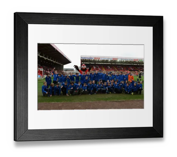 Framed Print : Bristol City vs Barnsley: Intense Clash in Sky Bet League One at Ashton Gate (March 2015) Framed Print : Bristol City vs Barnsley: Intense Clash in Sky Bet League One at Ashton Gate (March 2015)
