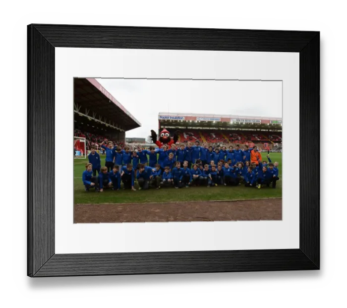 Framed Print : Bristol City vs Barnsley Clash at Ashton Gate - Sky Bet League One (March 2015) Framed Print : Bristol City vs Barnsley Clash at Ashton Gate - Sky Bet League One (March 2015)